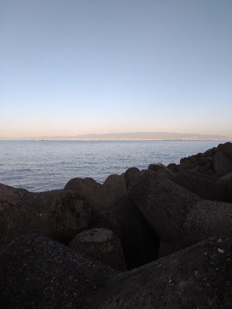 安定のサゴッシー