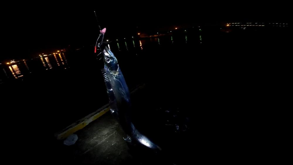 仕事終わり釣行🎣