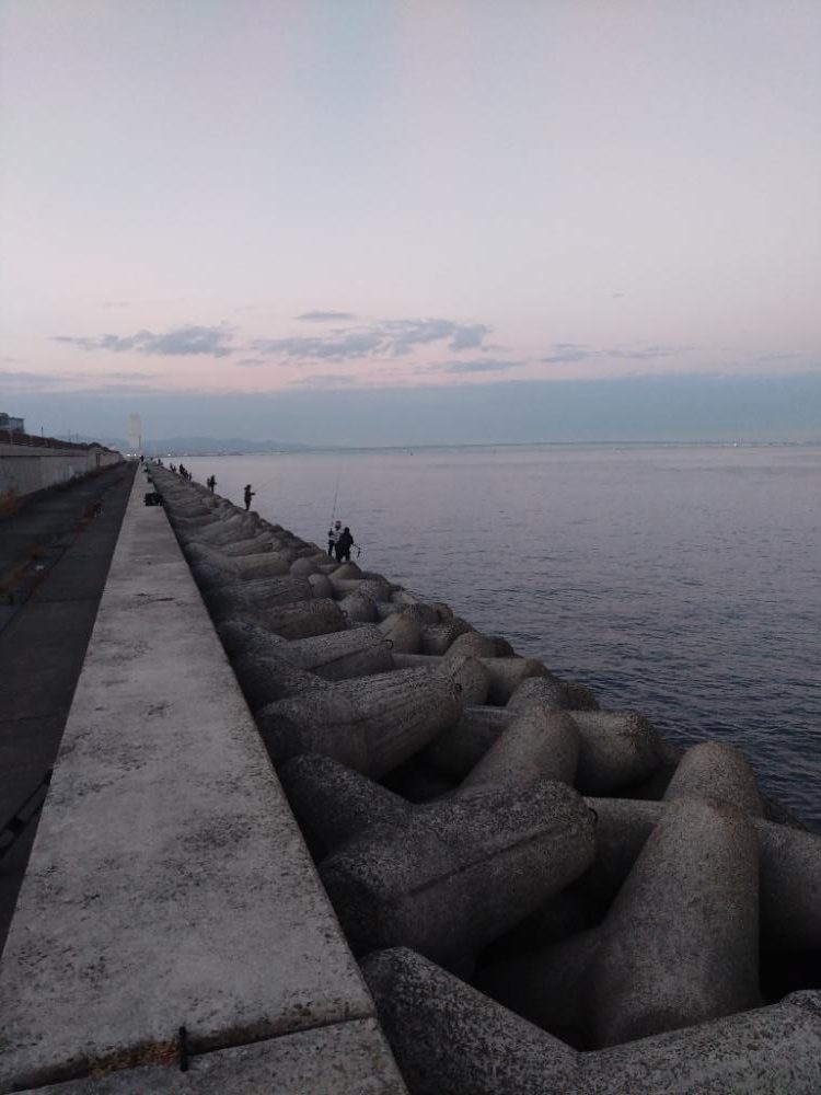 サゴシの時合短し!