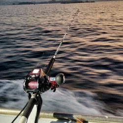 落とし込みアンダーベイトへ