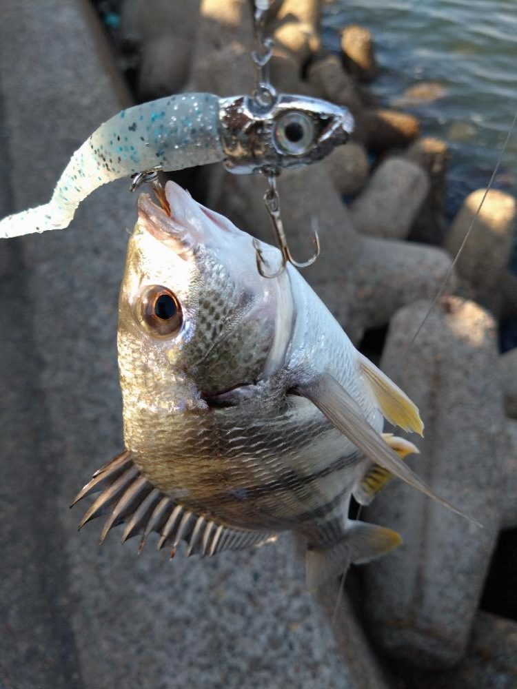 潮動かず、、、