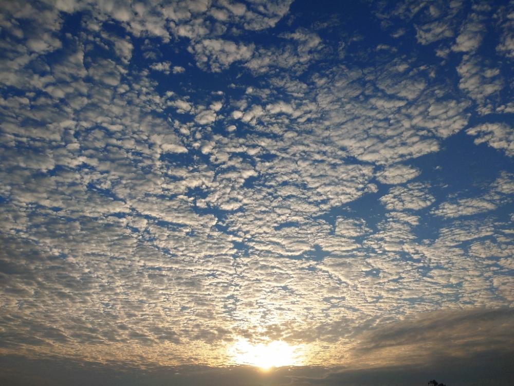 久しぶりのショアジギングでの釣果!!