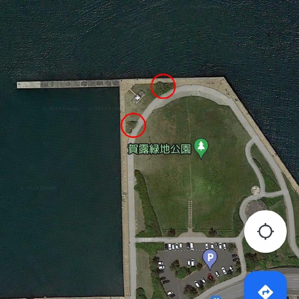 【悲報】かめや営業時間短縮