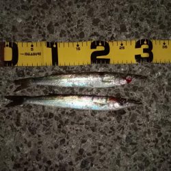 夕暮れのsalt water game