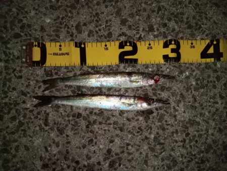 夕暮れのsalt water game