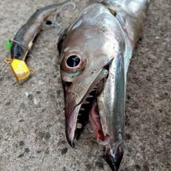 プチsalt water game