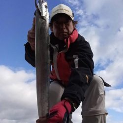 プチsalt water game