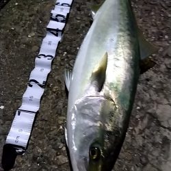 ショアジギング