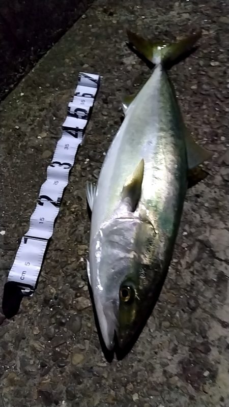 ショアジギング