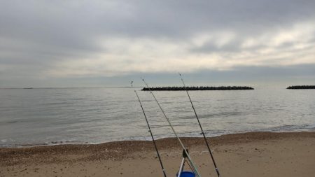 昼間だから釣れないわ