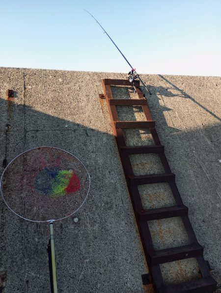 今シーズン初メジロ