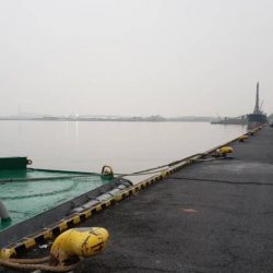 アジ探し@大阪南