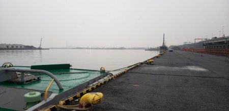 アジ探し@大阪南