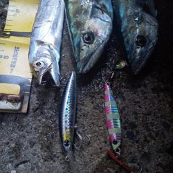 プチsalt water game