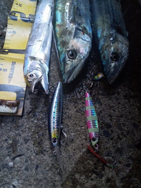 プチsalt water game