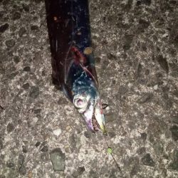 プチsalt water game