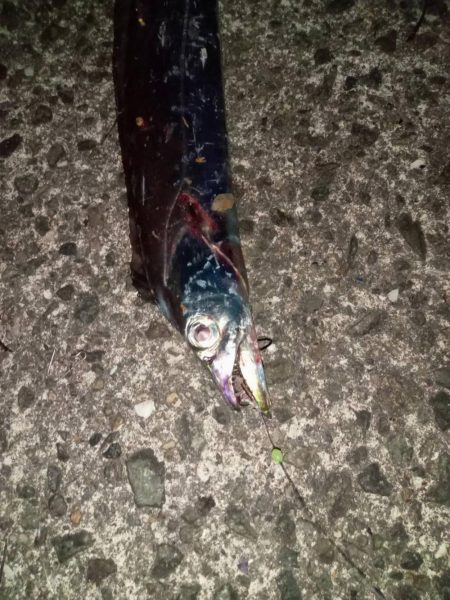 プチsalt water game