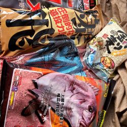 和歌山見老津（林渡船）で磯フカセ