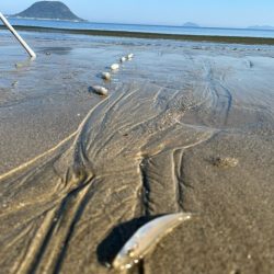 だいぶ冷え込んできましたがキスは元気でした