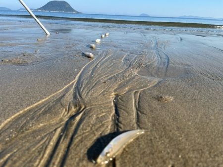 だいぶ冷え込んできましたがキスは元気でした