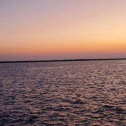 太刀魚は何処に？ふ