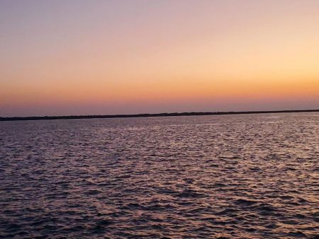 太刀魚は何処に？ふ