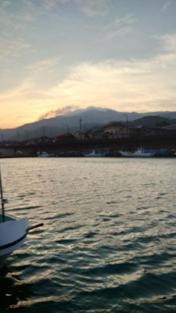 アジングなのに。