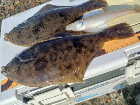 小さくてもマルチ