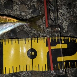 ジャングルジムイベント