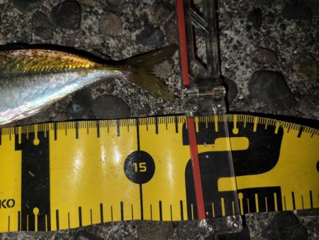 ジャングルジムイベント