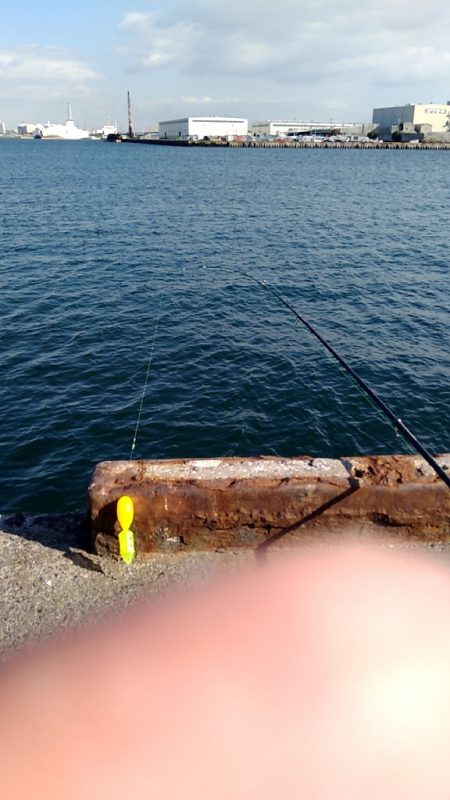 風が強いが好調