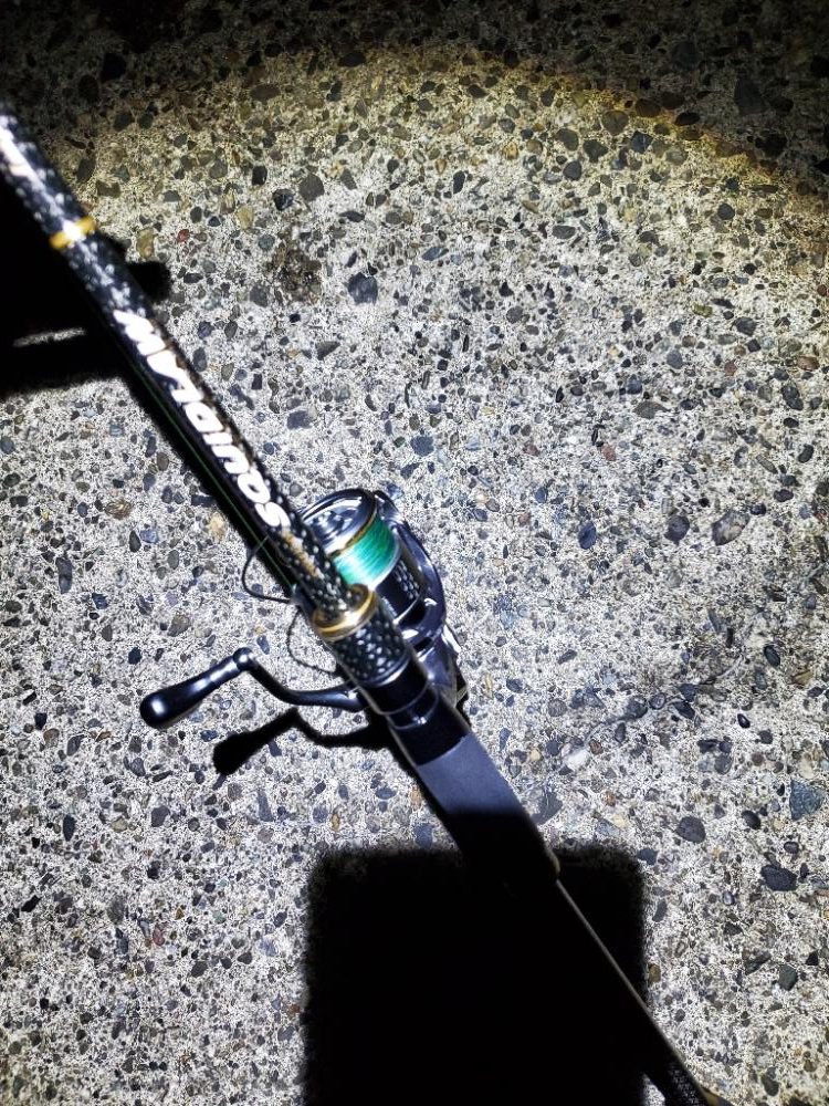 少しだけナイトエギング