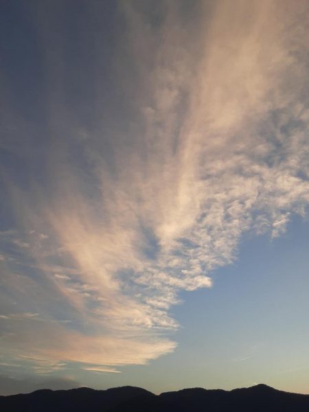 タイラバ　ティップラン