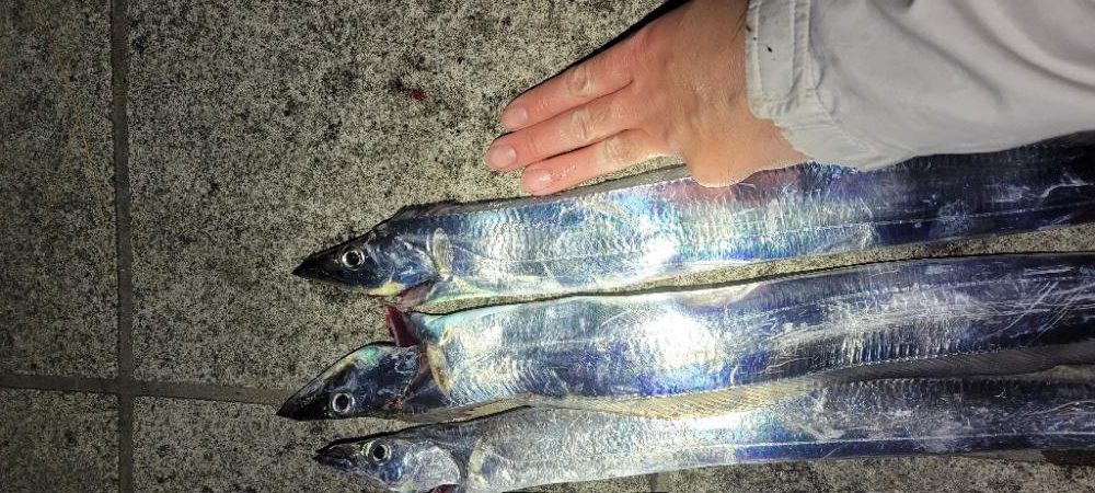 安定のマリーナシティ〜