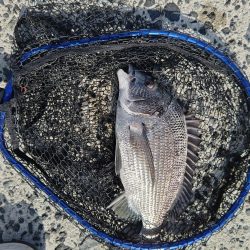 急遽休みになったので。