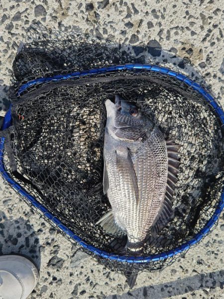 急遽休みになったので。