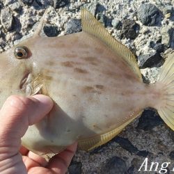 潮が動かず大苦戦