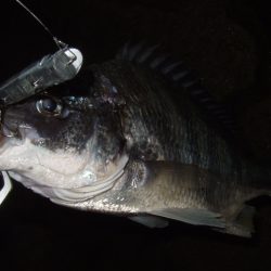 このまま終わってしまいそうな渋さ