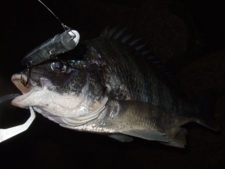 このまま終わってしまいそうな渋さ