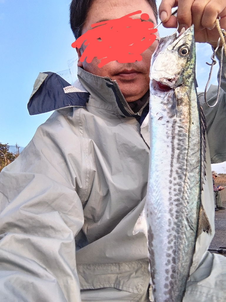 サゴシが釣れました!