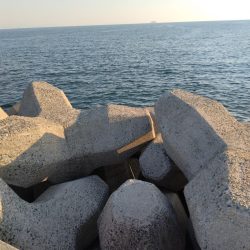 カワハギが釣りたくて