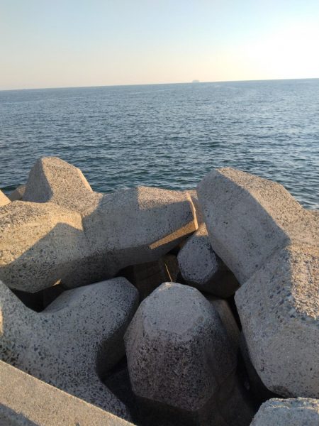 カワハギが釣りたくて