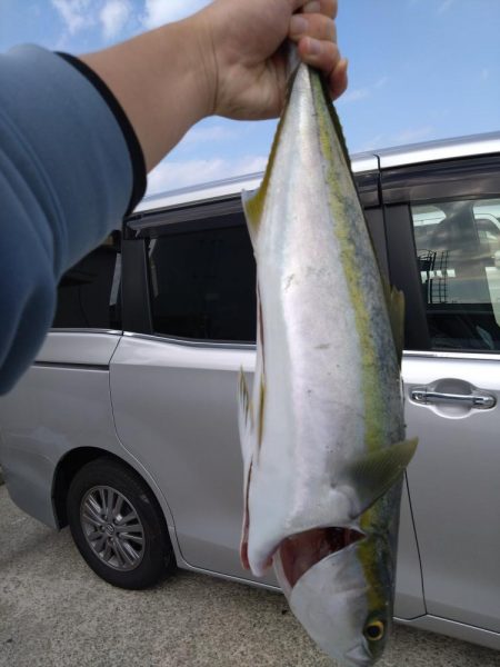 なけなしのアジで