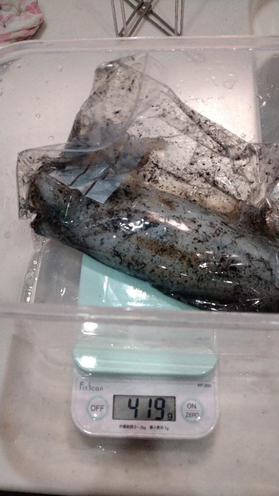 ティップラン初挑戦でアオリ