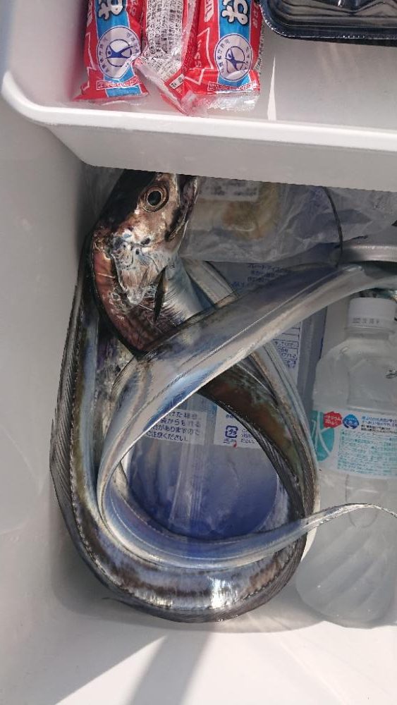 友が島廻りにて