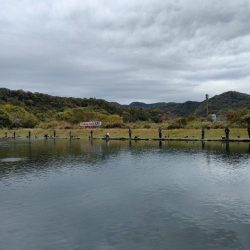 久しぶりの管理釣り場はなかなか楽しめました！