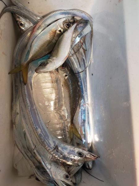 そろそろ終盤かな…？