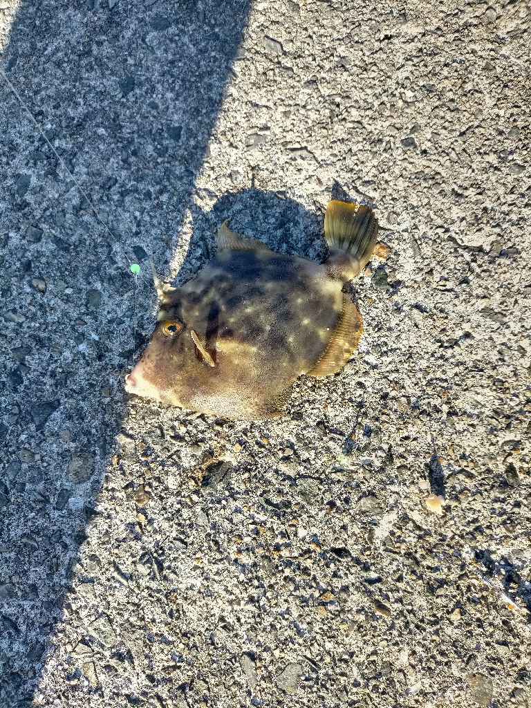 爆風に泣かされた1日！