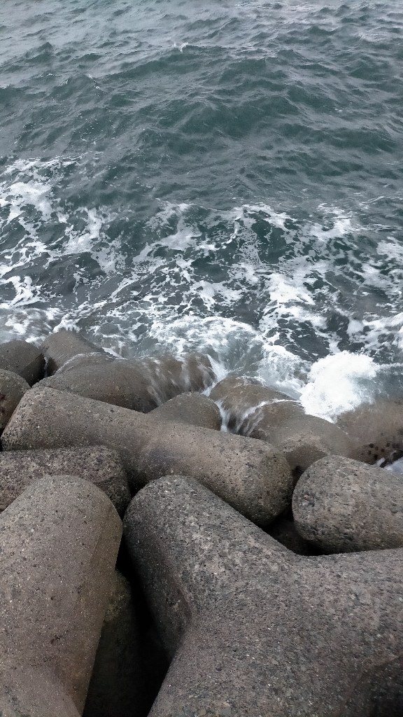 50センチクラスがポツポツ