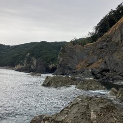 たかたかの釣り日記